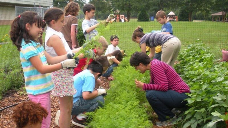 EL GOBIERNO PORTEÑO RECONOCERÁ A REFERENTES AMBIENTALES DE LAS ESCUELAS