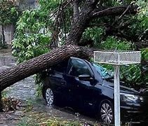 PROYECTO DE LEY PARA SUBSIDIOS A LAS VÍCTIMAS  DEL TEMPORAL