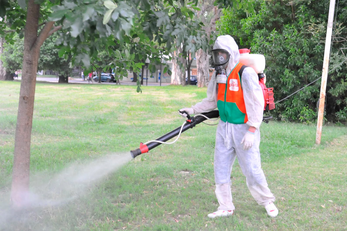 CONTINÚA LA DESINFECCIÓN CONTRA MOSQUITOS SILVESTRES EN PARQUES