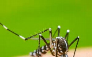 CRECIERON LOS CASOS DE DENGUE EN LA CIUDAD