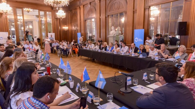 ACTIVIDAD DEL CONSEJO FEDERAL DE DISCAPACIDAD EN LA LEGISLATURA