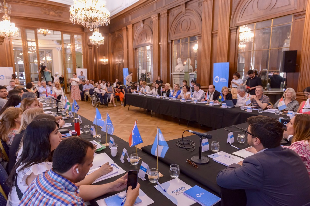 ACTIVIDAD DEL CONSEJO FEDERAL DE DISCAPACIDAD EN LA LEGISLATURA