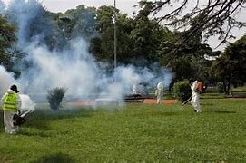 LA CIUDAD REFORZÓ LA PREVENCIÓN CONTRA EL DENGUE