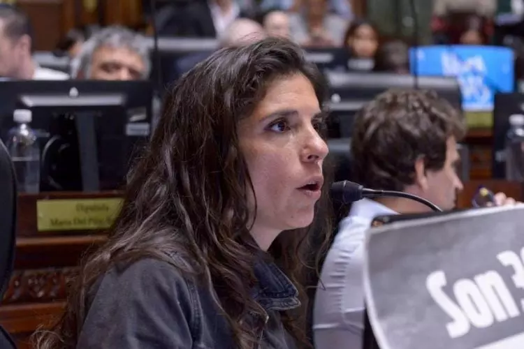 LA DIPUTADA CELESTE FIERRO PRESENTÓ SU RENUNCIA