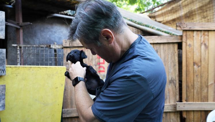 EL EQUIPO VETERINARIO ANIMALES BA EN 2024 PARTICIPÓ DEL RESCATE DE 181 PERROS Y GATOS