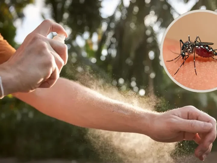 PROPONEN QUE LOS HOSPITALES PORTEÑOS ENTREGUE REPELENTES PARA PROTEGERSE DEL DENGUE