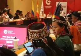 30° ANIVERSARIO DE LA DECLARACIÓN Y PLATAFORMA DE ACCIÓN DE BEIJING