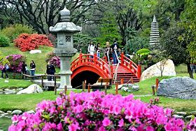 SE REALIZARÁN AUDIENCIAS PÚBLICAS POR LA FUNDACIÓN FAVALORO Y EL JARDÍN JAPONÉS