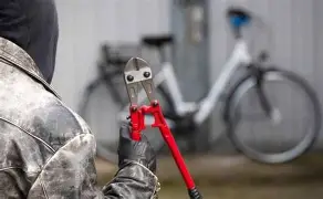 CAYÓ DE NUEVO EL LADRÓN DE BICIS