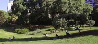 JORNADA EN BELGRANO POR EL DÍA DEL ÁRBOL