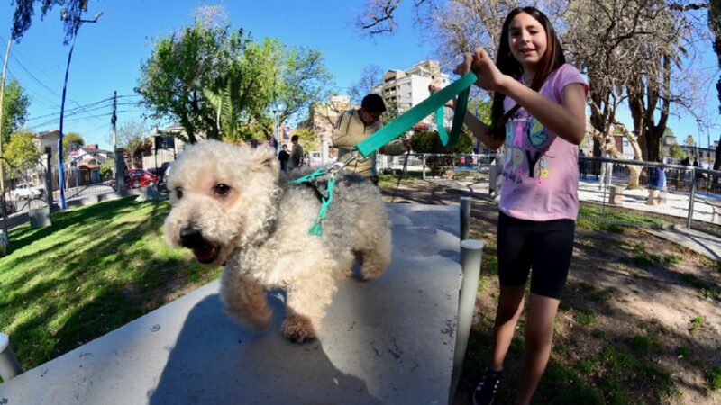 ANIMALES DE COMPAÑIA EN ESPACIOS VERDES DE LA CIUDAD