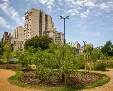 DESDE LA LEGISLATURA PORTEÑA INSTAN A CREAR UN NUEVO ESPACIO VERDE EN ALMAGRO