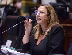 EL PERONISMO EN LA LEGISLATURA PEDIRÁ EXIMIR DE INGRESOS BRUTOS A TODAS LAS CATEGORÍAS