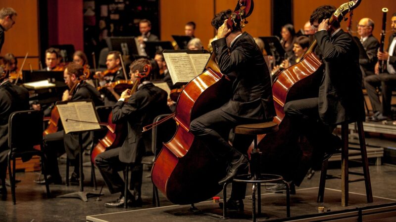 PROPONEN GARANTIZAR EL TRASLADO DE INSTRUMENTOS MUSICALES EN EL TRANSPORTE PÚBLICO