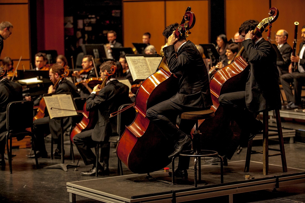 PROPONEN GARANTIZAR EL TRASLADO DE INSTRUMENTOS MUSICALES EN EL TRANSPORTE PÚBLICO